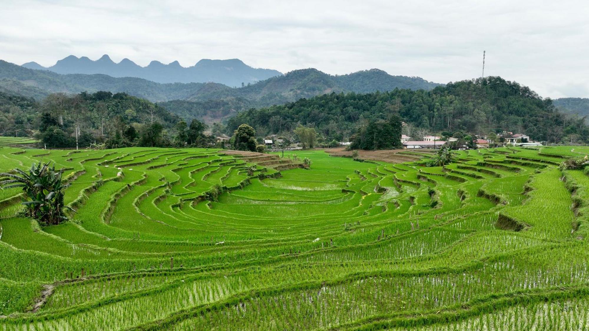 Thavill Retreat Hagiang Apartamento Ha Giang Exterior foto