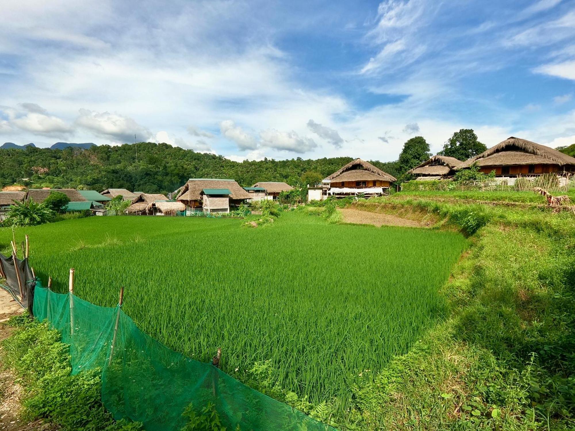 Thavill Retreat Hagiang Apartamento Ha Giang Exterior foto